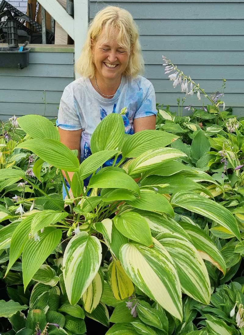 Christina and her hostas